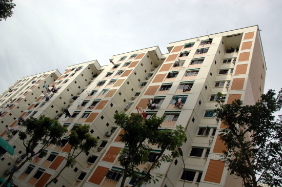 Blk 206 Petir Road (Bukit Panjang), HDB 3 Rooms #217982